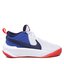 Nike Schuhe Nike Team Hustle D 10 (Gs) CW6735 103 Grau