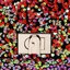 Furla Дамска чанта Furla 1927 WB00846-BX1589-1850S-1-007-20CN-B Toni Juice