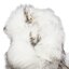 Hispanitas Боти Hispanitas Ingrid-I2 HI222359 Nieve/Vison