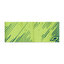 Dynafit Bentiță Dynafit Graphic Performance 08-71275 Lime Punch 5791/8830
