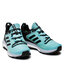 adidas Обувки adidas Terrex Skychaser 2 Gtx W GORE-TEX FW2996 Acid MInt/Core Black/Halo Silver