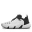 adidas Pantofi adidas Trae Unlimited Shoes IF5609 Clowhi/Carbon/Metgry
