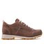 Dolomite Trekingová obuv Dolomite 54 Low Fg GTX EVO W GORE-TEX 292534 Plum Brown