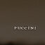 Puccini Kabelka Puccini BK2221120 5A
