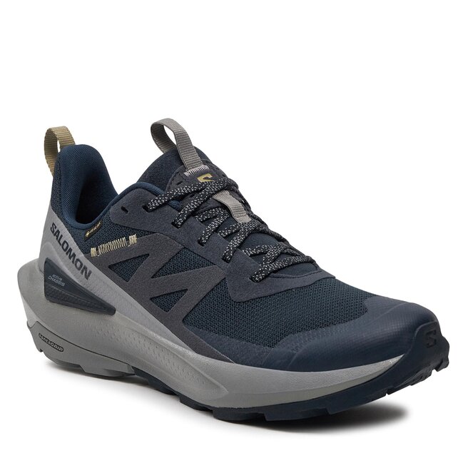 Salomon carbon clearance