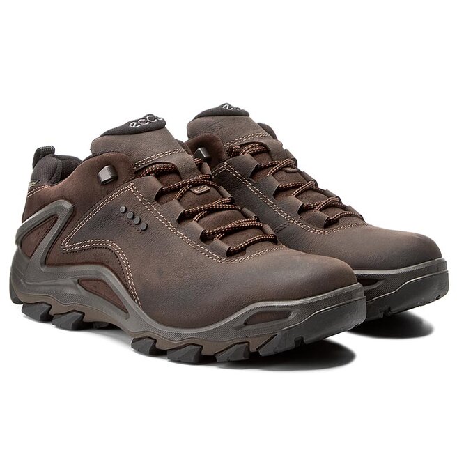 Ecco evo terra on sale