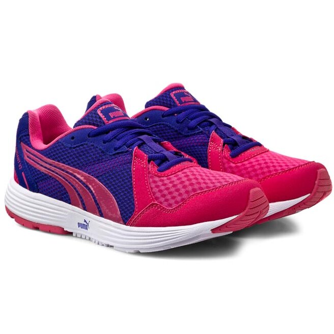 Puma descendant v2 damen outlet
