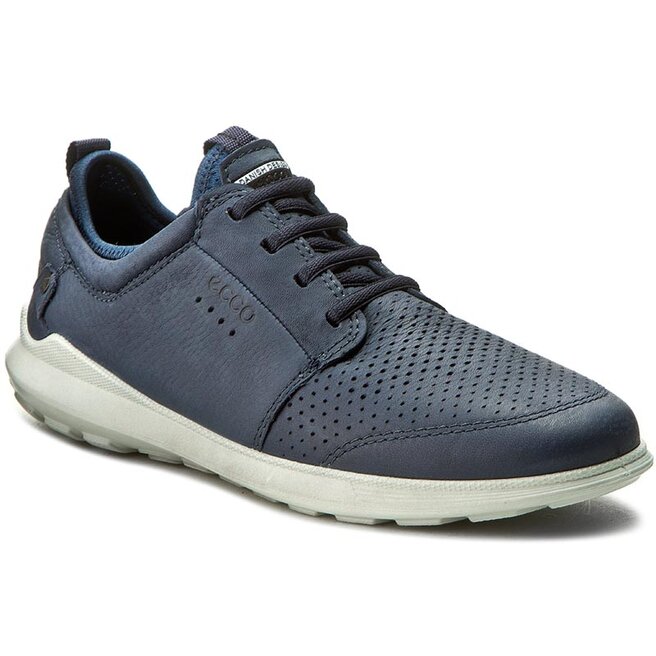 Ecco transit sales