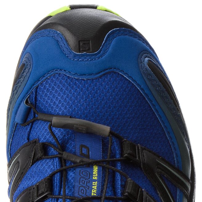 Salomon XA Pro 3D GTX, Zapatillas de Trail Running para Hombre, Azul  (Mazarine Blue/Wil Black/