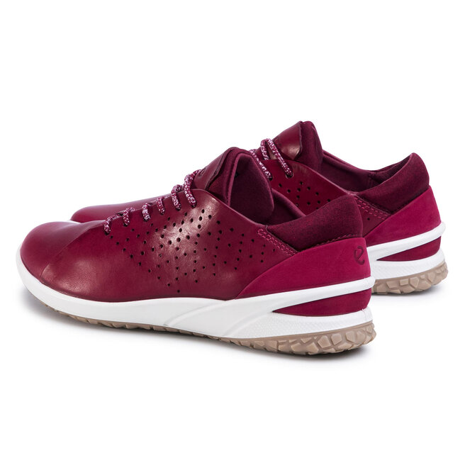 ecco biom life