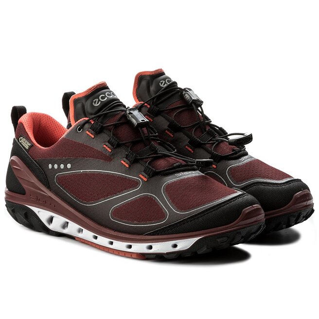 ecco biom venture