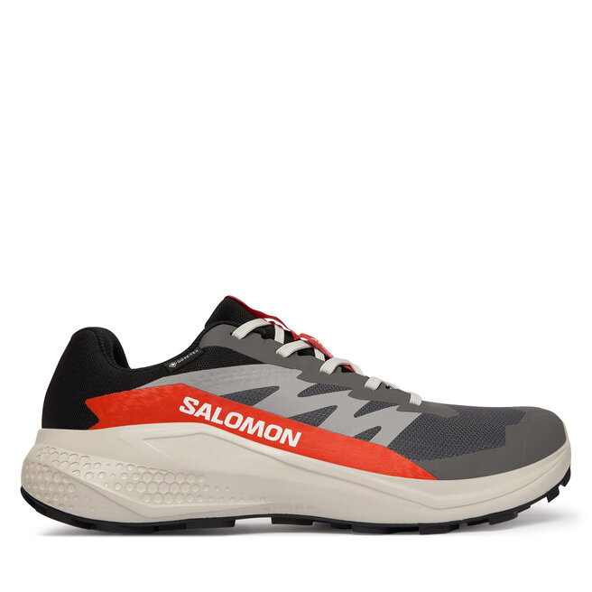 Buty do biegania Salomon Alphaglide Gore-Tex L47975300 Szary - męskie