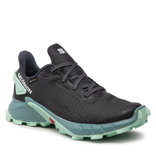 Pantofi Salomon Alphacross 4 Gtx W GORE-TEX 470668 20 V0 Ebony/Trellis/Yucca