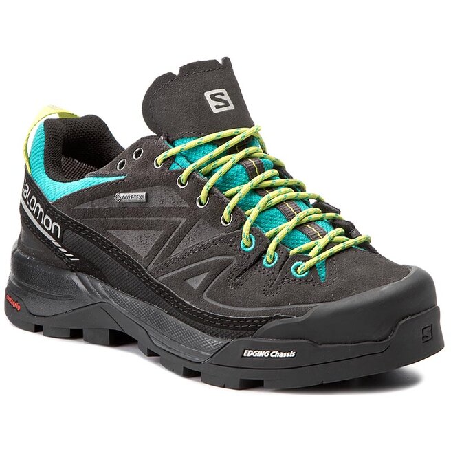 Salomon x cheap alp ltr