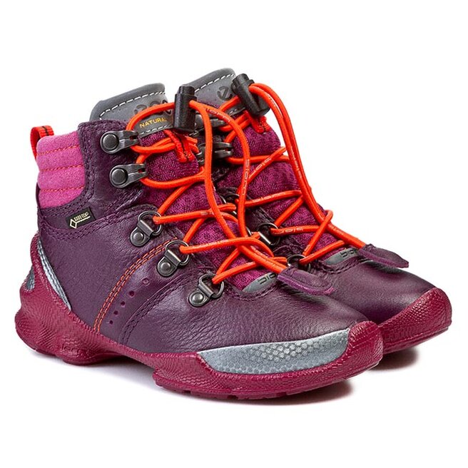 Ecco biom 2025 train kids