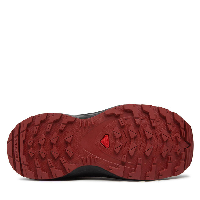 Salomon Turistiniai batai Salomon Xa Pro V8 J 416138 09 W0 Red Dahlia/Black/Poppy Red