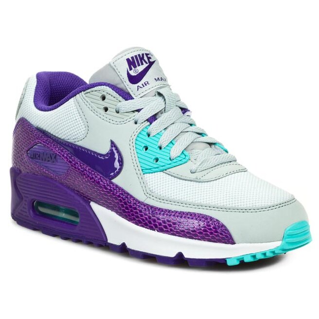 Chaussures Nike Air Max 90 325213 036 Slvr Wng Crt Prpl Hypr Grp