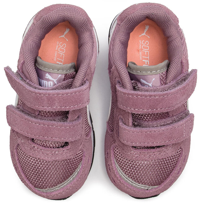 Elderberry puma 2025 white