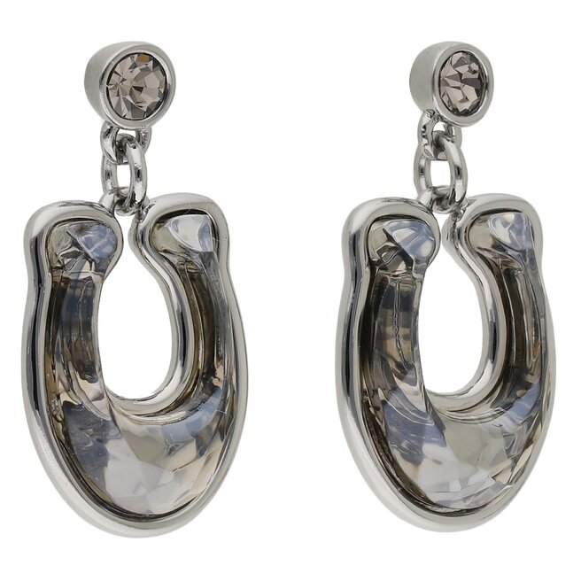 Coach Orecchini Coach Fct Crysl Drp Ear CG137 Silver SLV