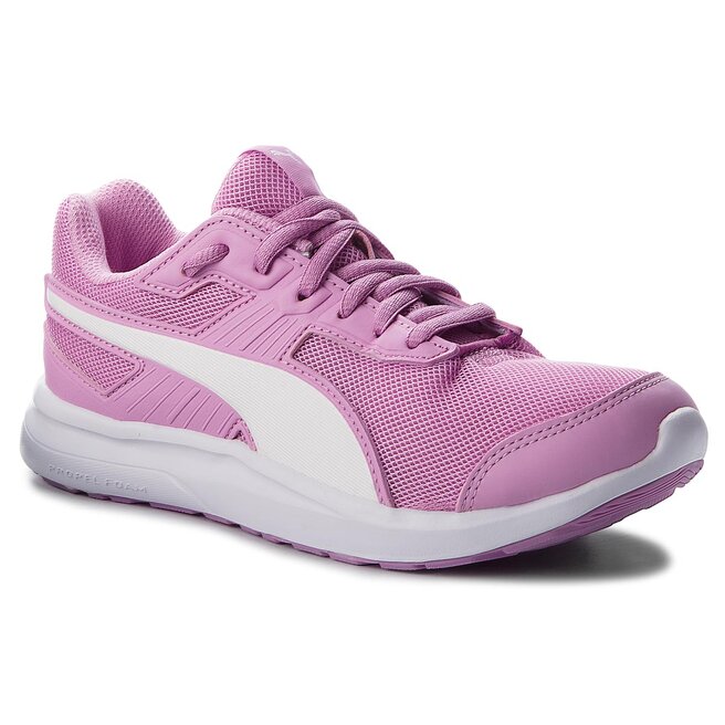 divecat unisex slides