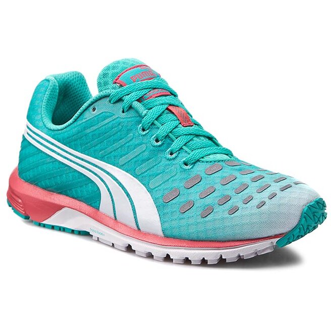 faas 300 v3