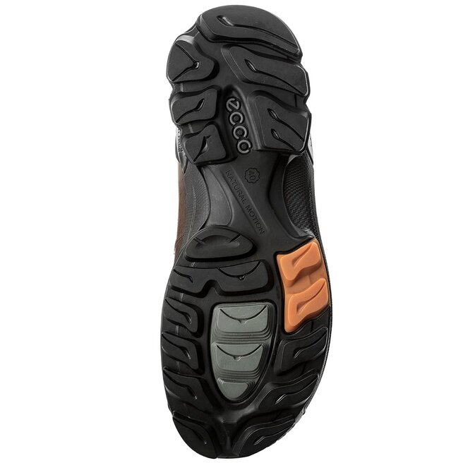 Ecco biom sale hike 1.6
