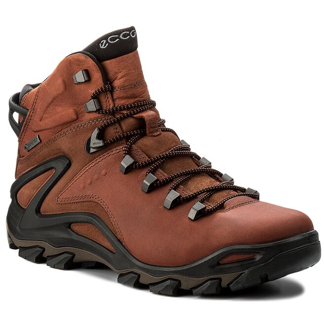 Ecco terra evo gtx store