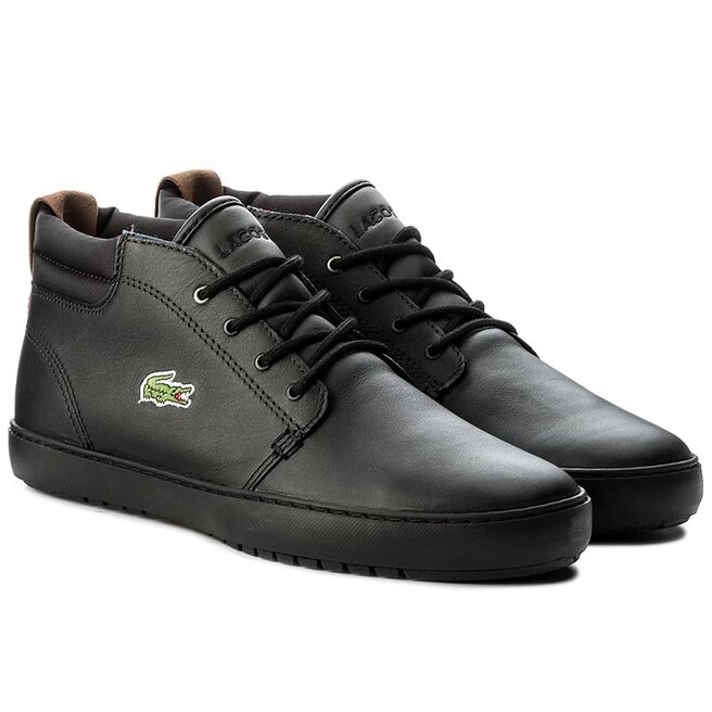 Lacoste ampthill sales terra 317