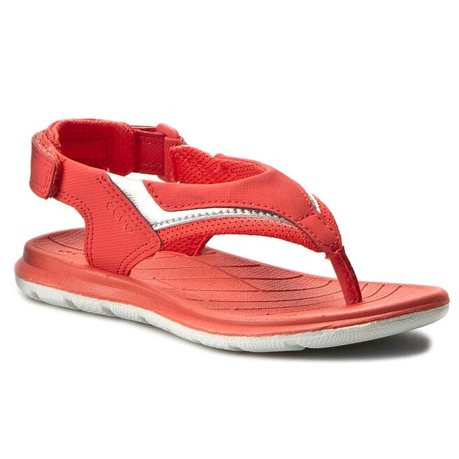 Ecco intrinsic lite store