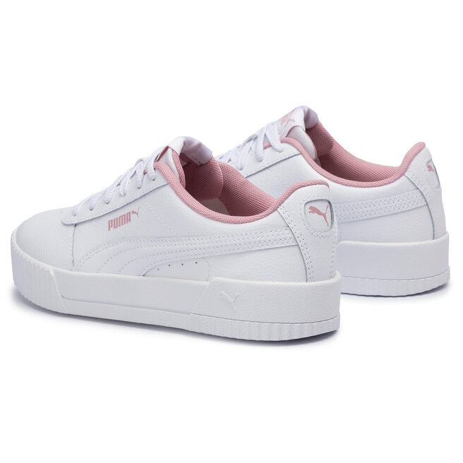 puma carina l