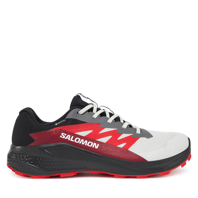 Buty do biegania Salomon Alphaglide Gore-Tex - Szary
