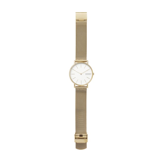 Skagen skw2795 on sale