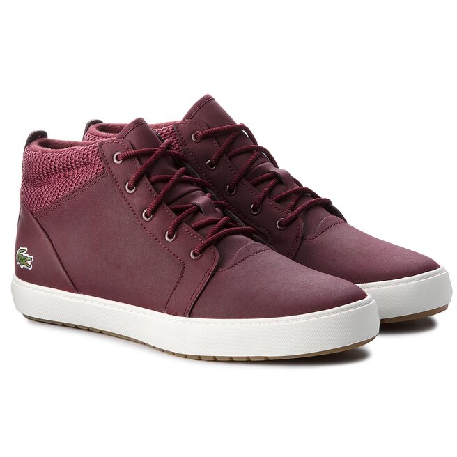 Lacoste ampthill 318 top 1