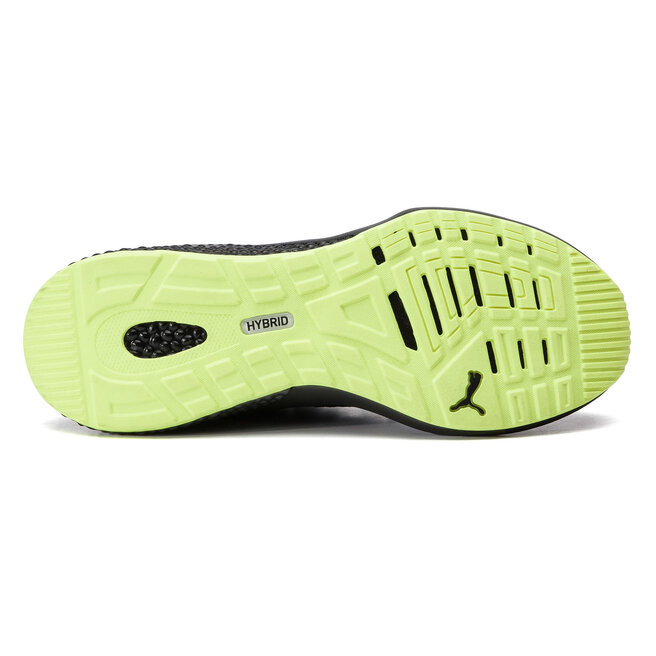 Hybrid nx daylight puma sale