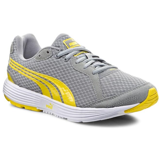 Puma descendant store
