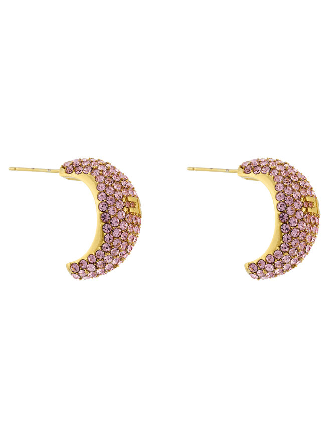 Elisabetta Franchi Ohrringe Elisabetta Franchi OR-44M-51E2-V250 Rosa