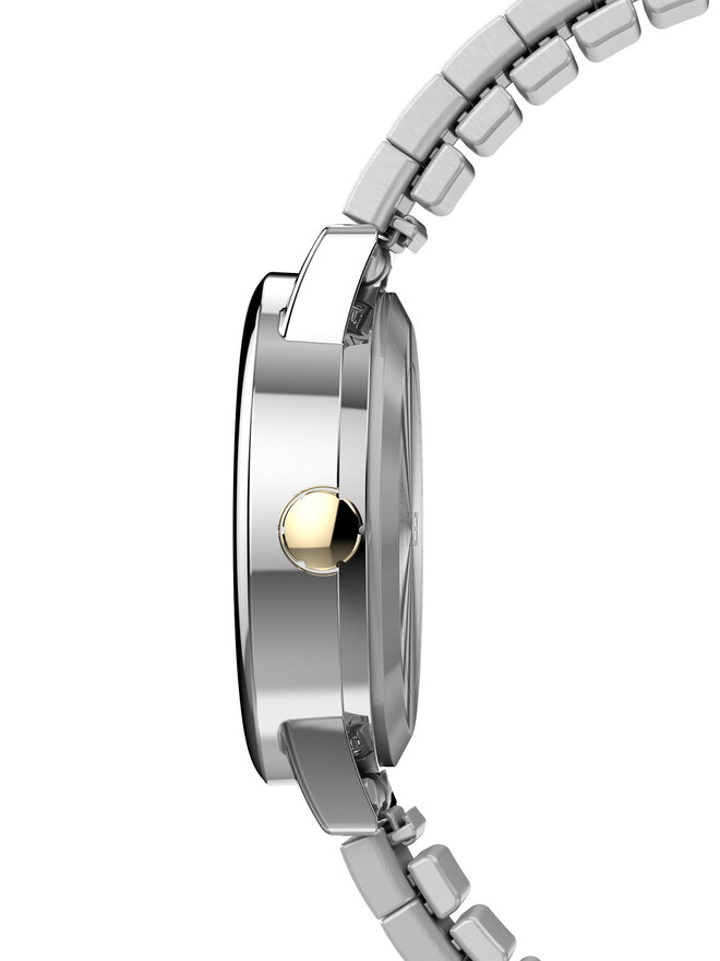 Timex Hodinky Timex Easy Reader TW2W52500 Stříbrná