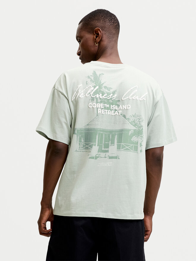 Jack & Jones Jack & Jones Футболка Eterna 12295544 Svetlozelena Loose Fit