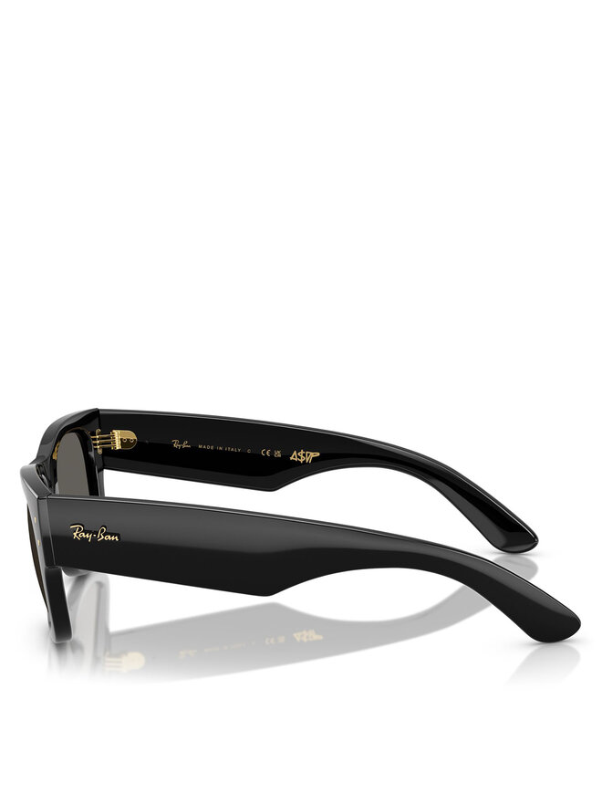 Ray-Ban Sonnenbrillen Ray-Ban 0RB0840S Schwarz