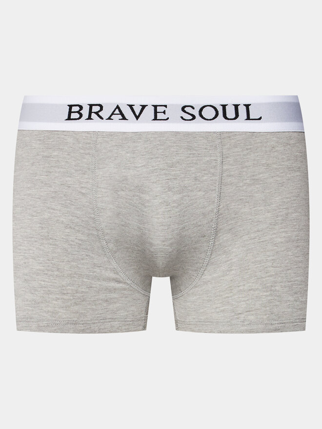 Brave Soul Brave Soul 2er-Set Boxershorts MBX-18ALIC Bunt