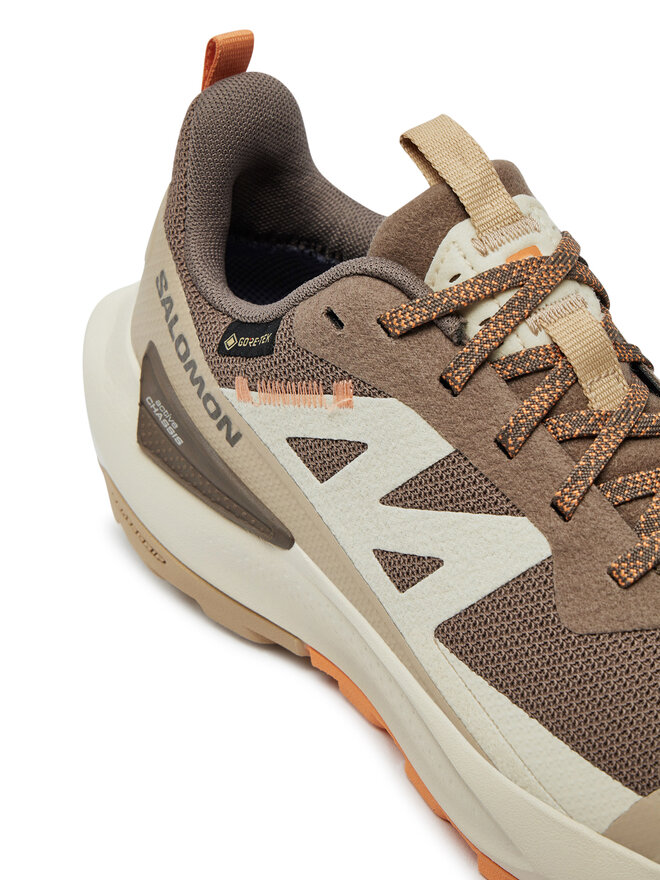 Salomon Снікерcи Salomon Elixir Activ Gore-Tex L47456400 Коричневий