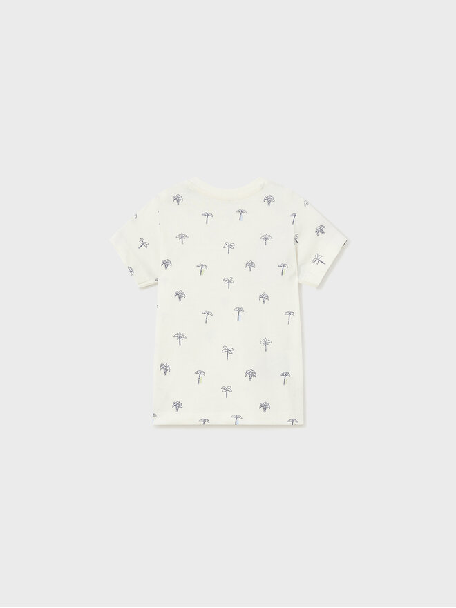 Mayoral Mayoral Σετ 2 T-Shirts 1021 Έγχρωμο Regular Fit