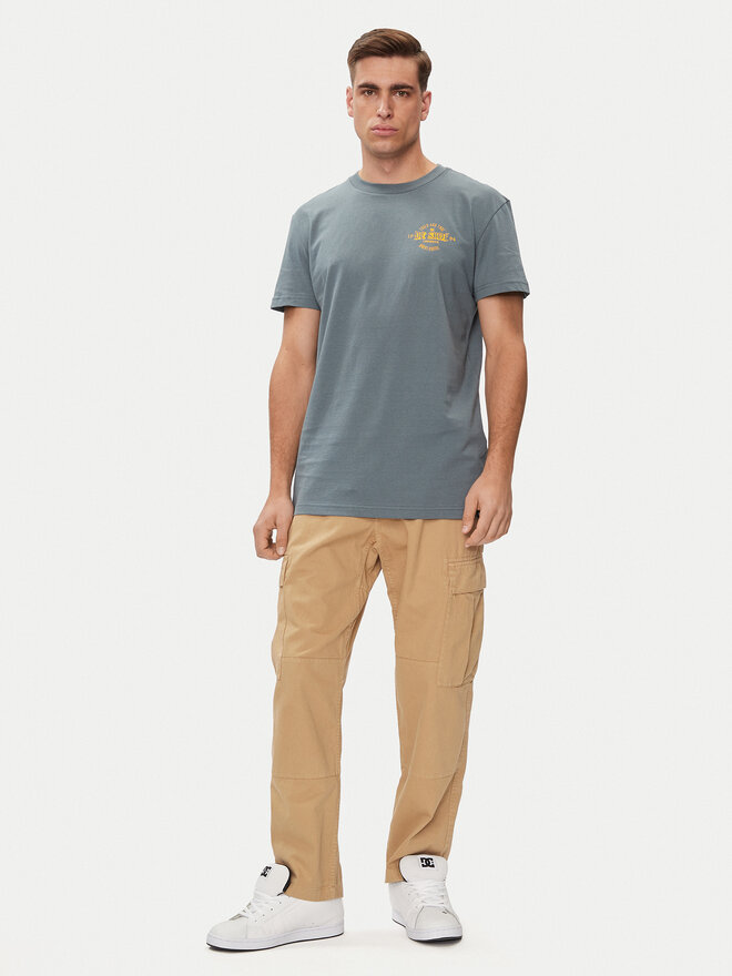 DC DC Marškinėliai Chain Gang Tss ADYZT05348 Pilka Regular Fit