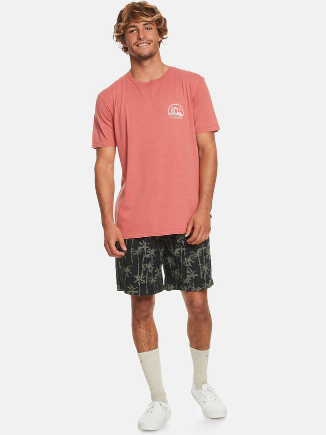 Quiksilver Quiksilver Póló Cleancircle Tees EQYZT07491 Piros Regular Fit