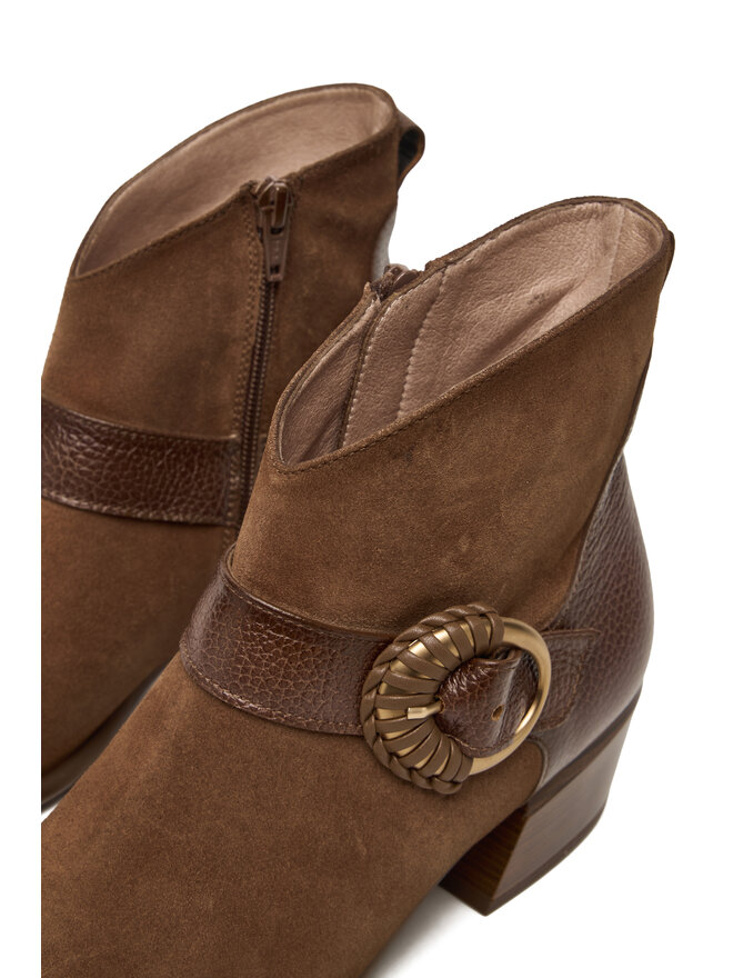 Hispanitas Stiefeletten Hispanitas PHI254256 Braun