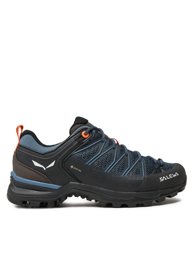 Salewa walking shoes 2025