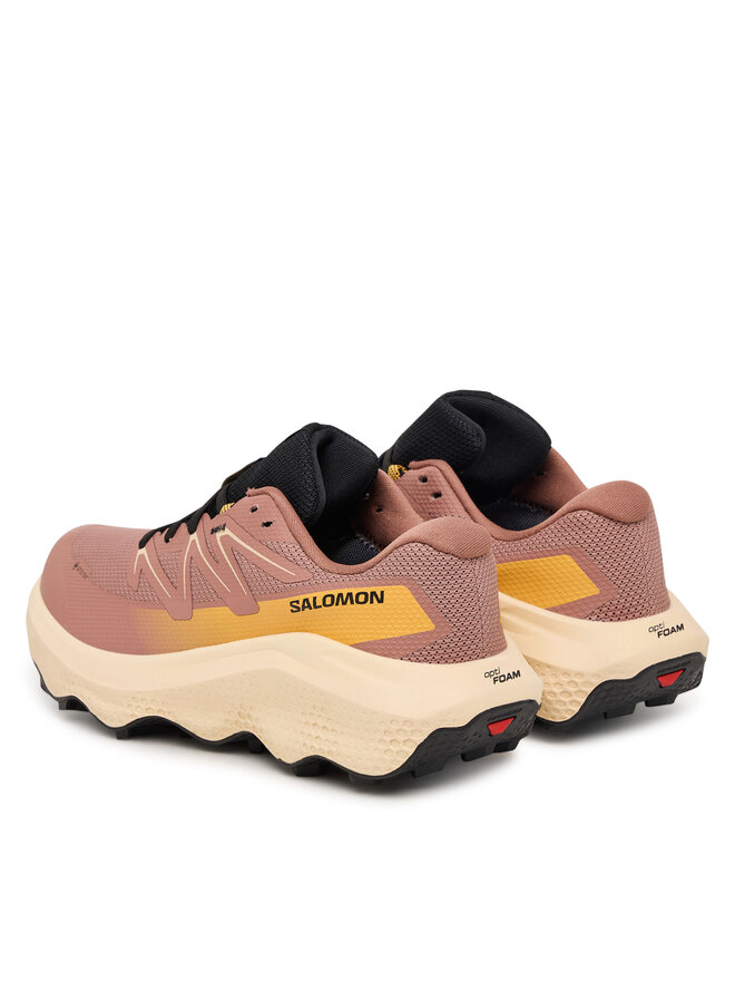 Salomon Laufschuhe Salomon Ultra Flow 2 Gtx L47884500 Rosa