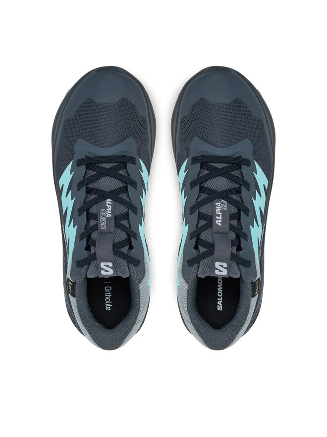 Salomon Běžecké boty Salomon Alphaglide Gore-Tex L47802500 Šedá
