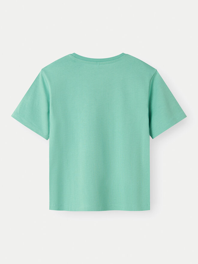 NAME IT NAME IT T-Shirt Vobbo 13238968 Grün Loose Fit
