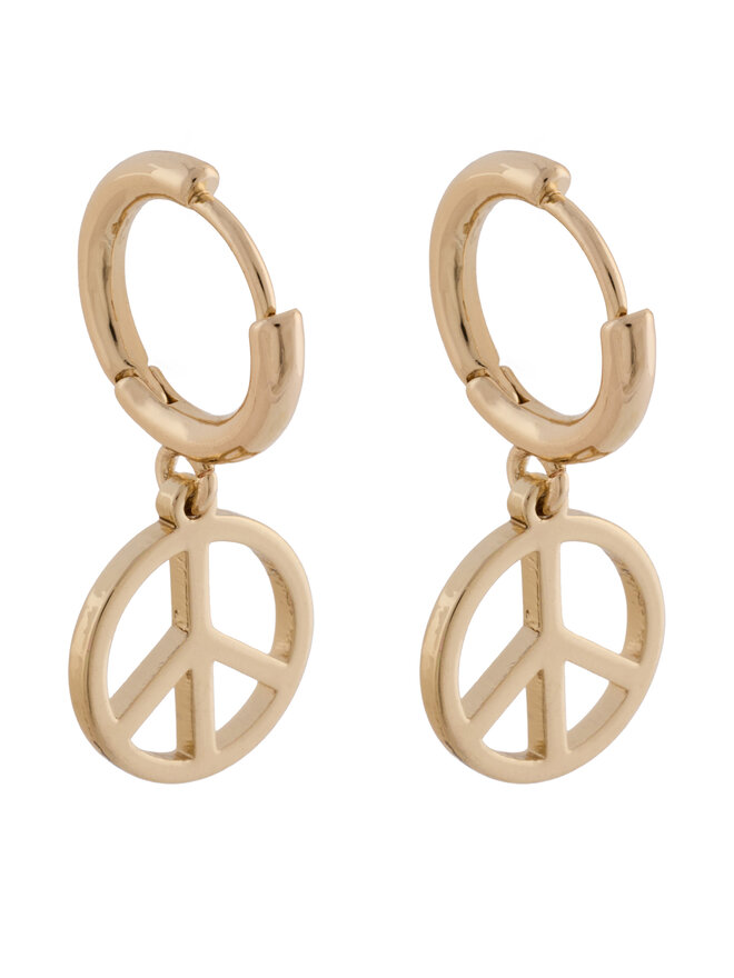 Aldo Set Ohrringen Aldo Charmiies 13994892 Goldfarben